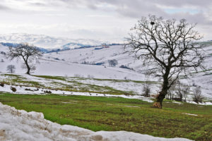 Nicola Faiocco | Paesaggio sannita | Pesco Sannita