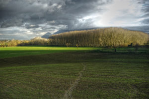 Rodolfo Tagliaferri | Paesaggio sannita | Dugenta