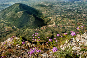 Roberto Gaetano | Valle Telesina Mont'erbano | San Lorenzello