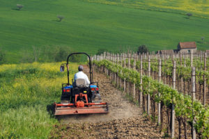 Angelo Masone | Paesaggio Sannita | Pietrelcina