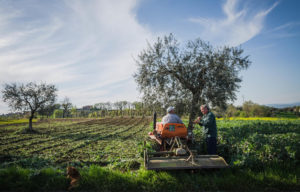 Claudia Delli Gatti | La vita nei campi | Calvi