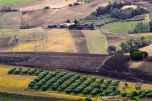 Alessio Verna | Paesaggio | Fragneto Monforte