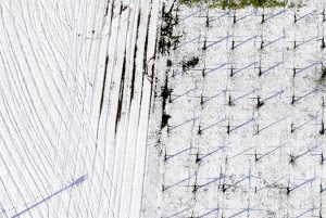 Roberto Gaetano | Geometrie | Guardia Sanframondi