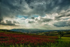 Giuseppe Biancardi | Paesaggio Sannita | Reino